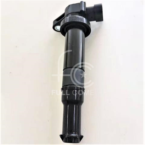 IGN-P3106-038B(S1)-4
