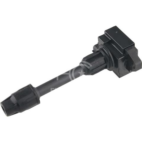 IGN-P3108-041(S)-3