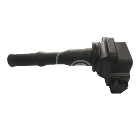 IGN-P2116-251(S)-3