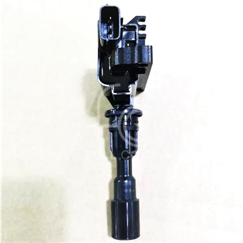 IGN-P3101-013(S)-3