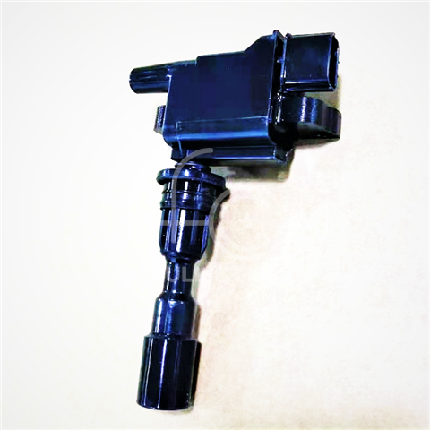 IGN-P3101-013(S1)-4