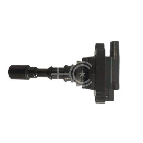 IGN-P3145-295B(S1)-4
