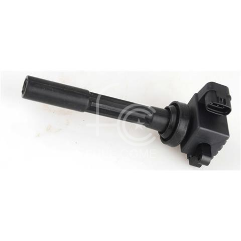 IGN-P3166-365(B)-2