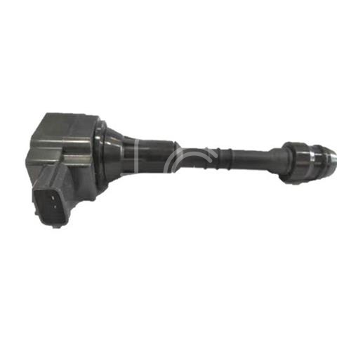 IGN-P3131-213C(S)-3