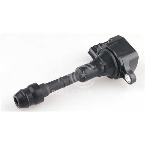 IGN-P3111-043(S)-3