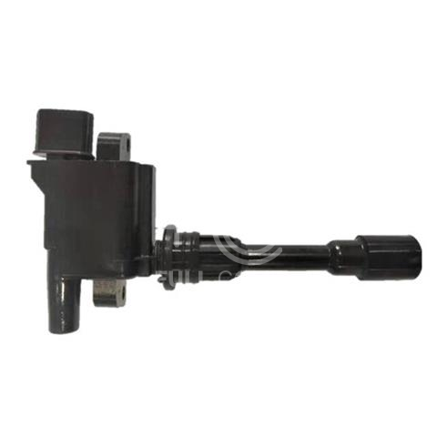 IGN-P3121-127(S1)-4