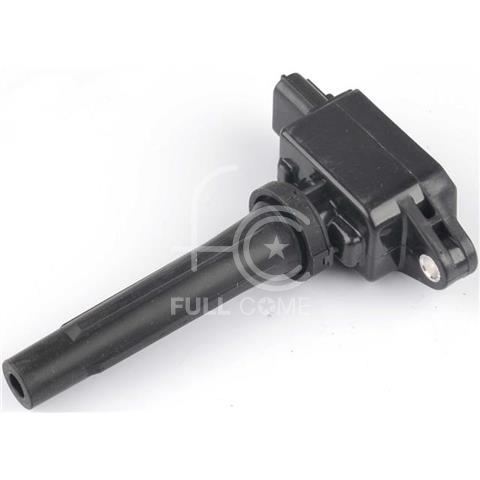 IGN-P3190-484(B)-2