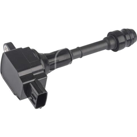 IGN-P3129-213(B)-2