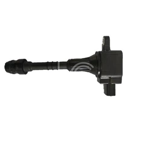 IGN-P3131