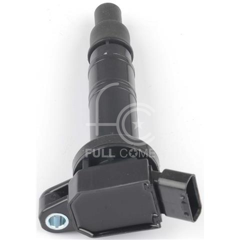 IGN-P4110