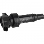 IGN-P2130-371(S)-3