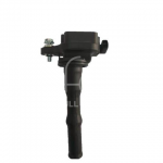 IGN-P2116-251(T)-1