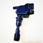 IGN-P3101-013(S1)-4