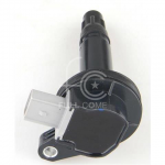 IGN-P2128-334F(T)-1