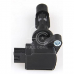 IGN-P3137-253(T)-1