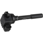 IGN-P3166-365(S)-3