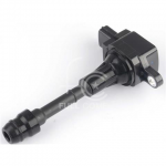 IGN-P3129-213(S)-3