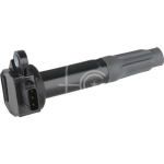 IGN-P3152-321(S)-3