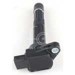 IGN-P4114-252(T)-1