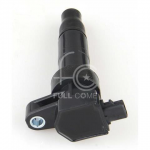 IGN-P2119-292(T)-1