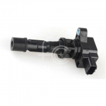 IGN-P3137-253(S)-3
