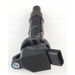IGN-P4113-250(T)-1