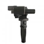 IGN-P3100-012(T)-1