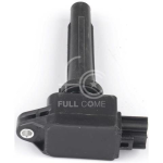 IGN-P3190-484(T)-1